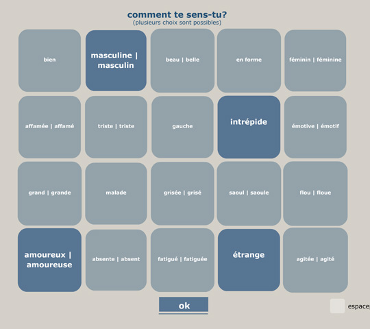 interface_saisie1.jpg
